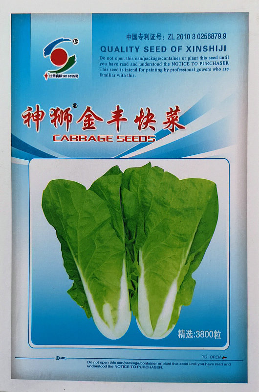 神狮金丰快菜——精品快菜 神狮金丰快菜——精品快菜